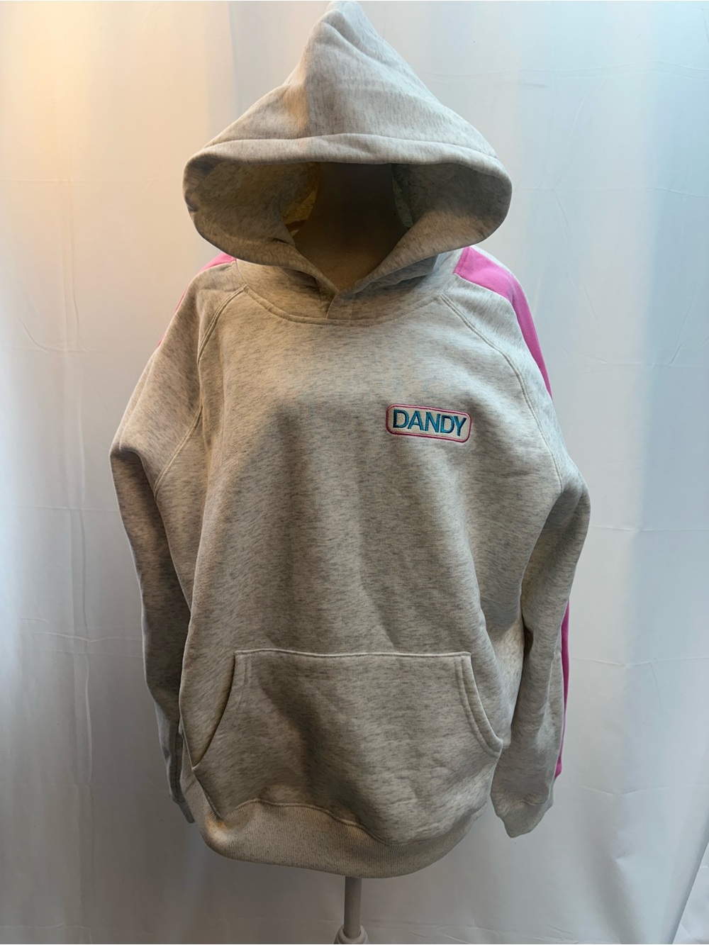 Dandy Worldwide Gray Hoodie with Pink Shoulder Panels M NWTS